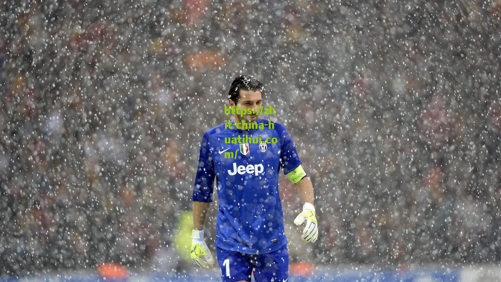 独行侠球迷脱粉?库班,纳什离队,王治郅加盟也有相同情况